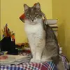 Отзыв от Юлия Шульгина